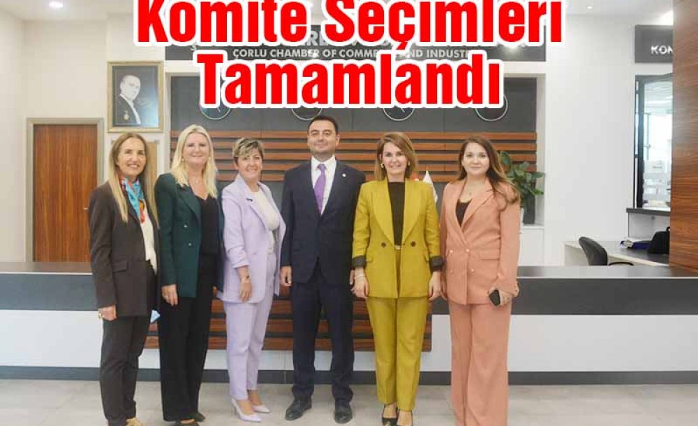 Komite Seçimleri Tamamlandı