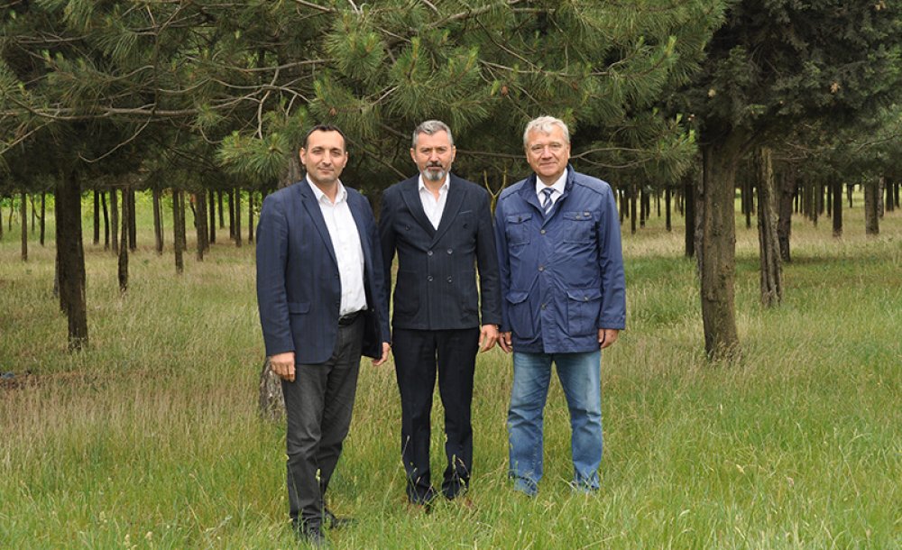 Tema Parkı'nda Piknik Festivali Düzenlenecek