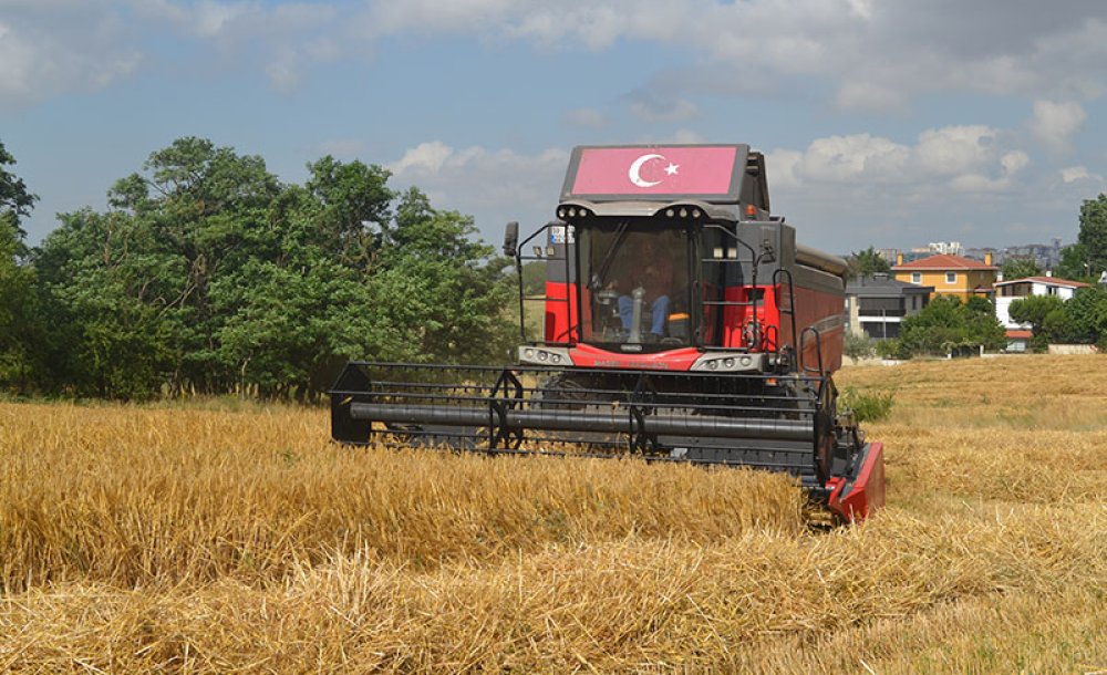 Buğdayda Verim Yüksek, Fiyat Düşük