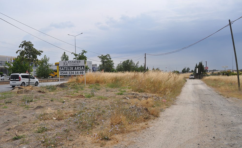 Yol Kenarındaki Kurumuş Otlar Tehlike Yaratıyor 