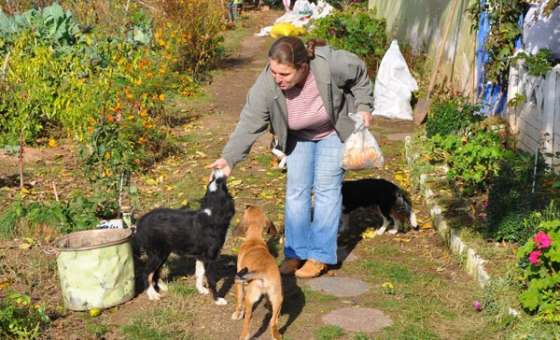 Hayatını Sokak Köpeklerine Adadı