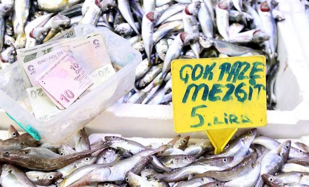 En Fazla Gıda Harcaması 'et, Balık Ve Deniz Ürünleri' Için Yapıldı